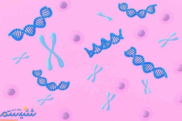 کشف ژن های مقاوم به درمان سرطان